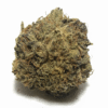 Pandora's Box Strain Flower - Hybrid Pandora's Box Strain Flower - Hybrid