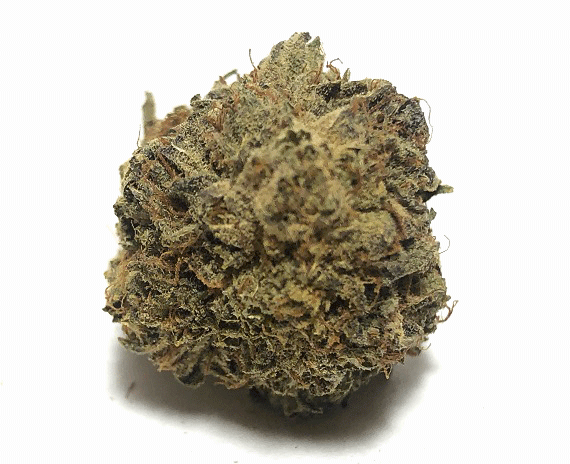 Pandora's Box Strain Flower - Hybrid