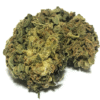 Shipwreck Strain Flower - Sativa Dominant Hybrid Shipwreck Strain Flower - Sativa Dominant Hybrid