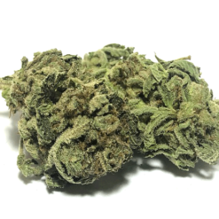 Chem Fruit Strain Small Buds - Hybrid