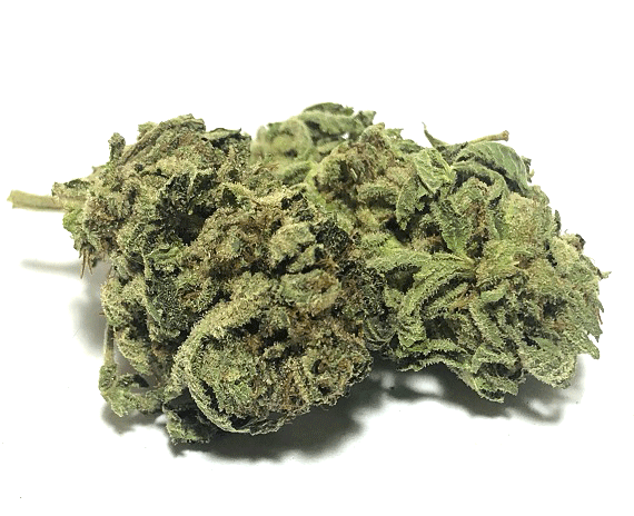 Chem Fruit Strain Small Buds - Hybrid