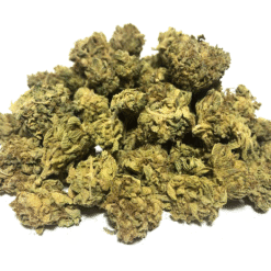 Pandora's Box Strain Flower - Hybrid Pandora's Box Strain Flower - Hybrid