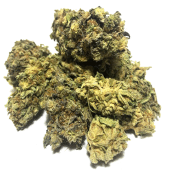 Laughing Buddha Strain Flower - Sativa Dominant Hybrid Laughing Buddha Strain Flower - Sativa Dominant Hybrid