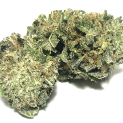 Chemnesia Strain Flower - Sativa Dominant Hybrid