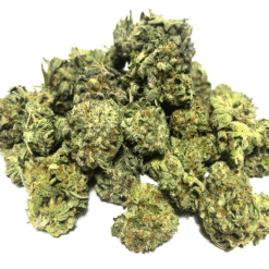 Chemnesia Strain Small Buds - Sativa Dominant Hybrid Chemnesia Strain Small Buds - Sativa Dominant Hybrid