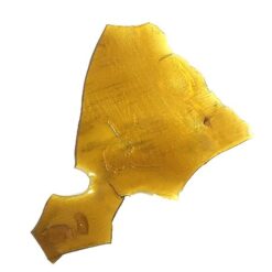 Gorilla Glue Strain Shatter - Indica Dominant Hybrid Gorilla Glue Strain Shatter - Indica Dominant Hybrid