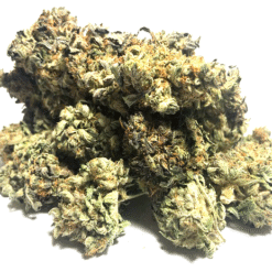 Green Dream Strain Flower - Hybrid Green Dream Strain Flower - Hybrid