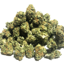Rockstar Strain Flower - Indica Dominant Hybrid Rockstar Strain Flower - Indica Dominant Hybrid