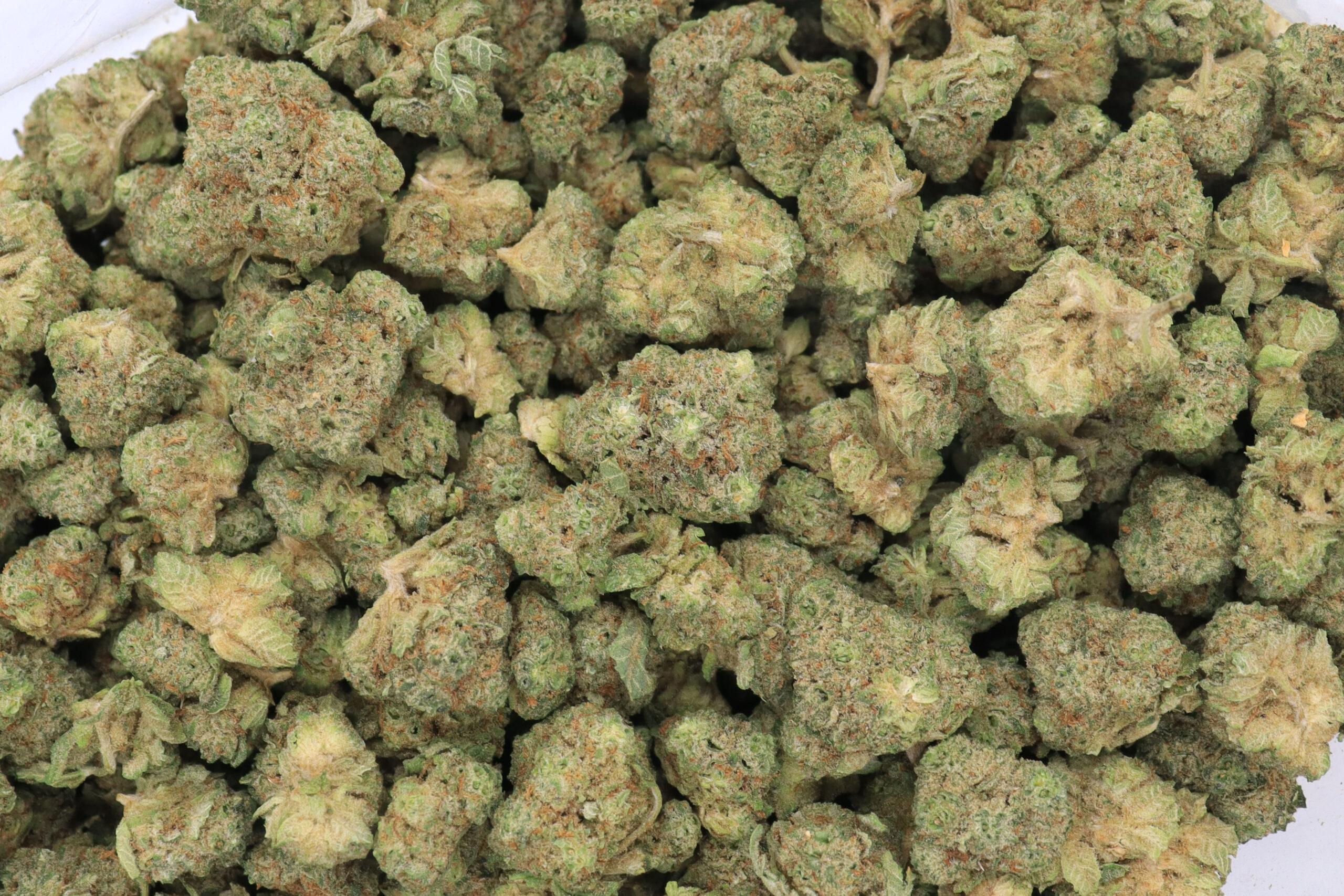 Bruce Banner Strain Flower - Sativa Dominant Hybrid Bruce Banner Strain Flower - Sativa Dominant Hybrid