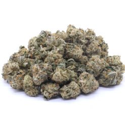 Chemnesia Strain AAA Small Buds - Sativa Dominant Hybrid