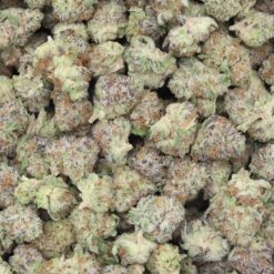 Chemnesia Strain Small Buds - Sativa Dominant Hybrid Chemnesia Strain Small Buds - Sativa Dominant Hybrid