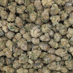Chemnesia Strain AAA Small Buds - Sativa Dominant Hybrid