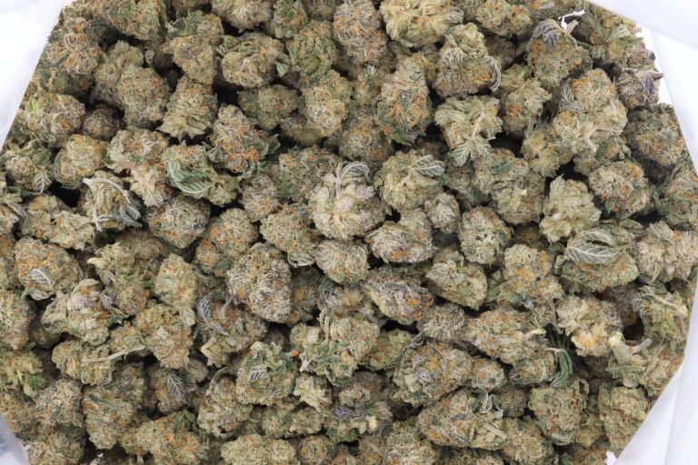 Chemnesia Strain AAA Small Buds - Sativa Dominant Hybrid
