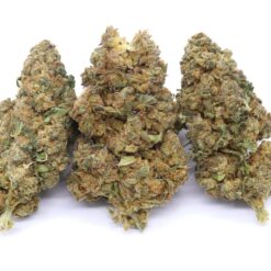 Green Dream Strain Flower - Hybrid Green Dream Strain Flower - Hybrid