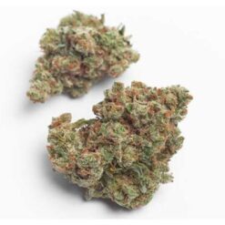 Mendo Breath Strain Small Buds - Indica Dominant Hybrid