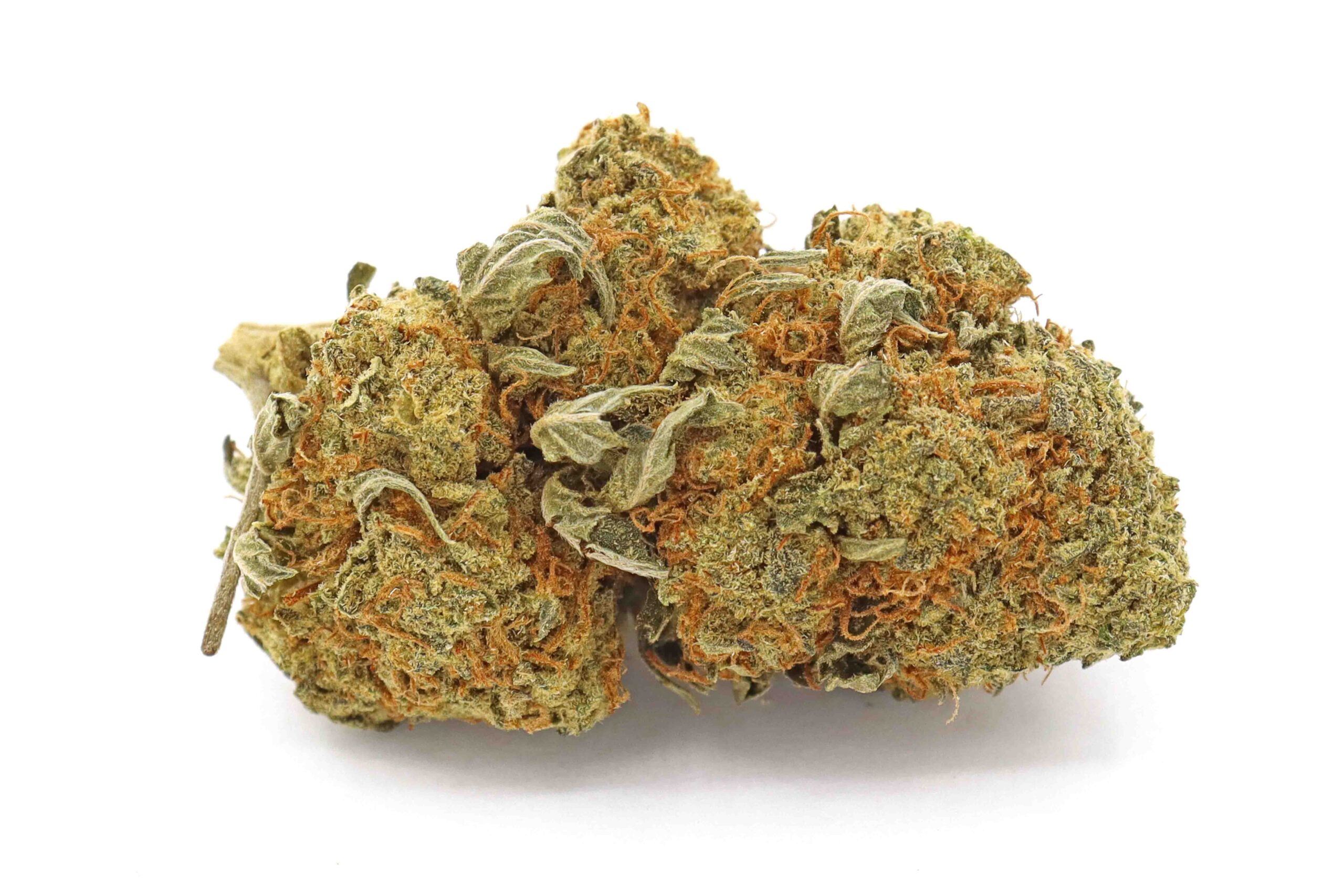 Laughing Buddha Strain Flower - Sativa Dominant Hybrid