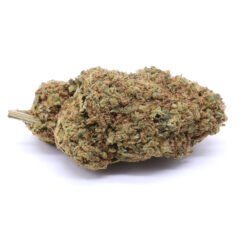 Laughing Buddha Strain Flower - Sativa Dominant Hybrid