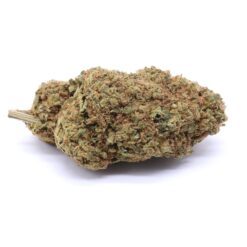 Laughing Buddha Strain Flower - Sativa Dominant Hybrid Laughing Buddha Strain Flower - Sativa Dominant Hybrid