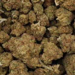 Laughing Buddha Strain Flower - Sativa Dominant Hybrid Laughing Buddha Strain Flower - Sativa Dominant Hybrid