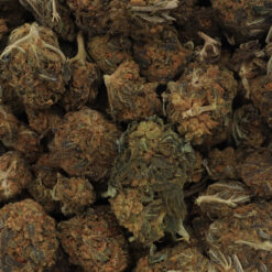 Pandora's Box Strain Flower - Hybrid