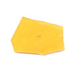 Pink Kush Strain Shatter - Indica Dominant Hybrid