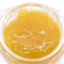 Pink Kush Strain Live Resin - Indica Dominant Hybrid Pink Kush Strain Live Resin - Indica Dominant Hybrid