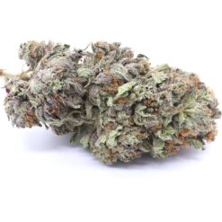 Rockstar Strain Flower - Indica Dominant Hybrid