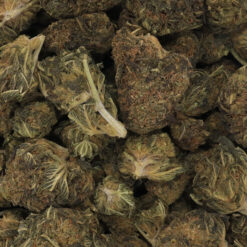 Shipwreck Strain Flower - Sativa Dominant Hybrid