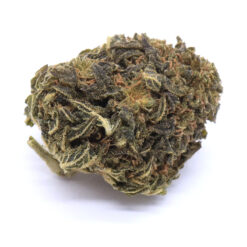 Shipwreck Strain Flower - Sativa Dominant Hybrid