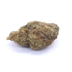 Shipwreck Strain Flower - Sativa Dominant Hybrid