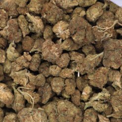 Shipwreck Strain Flower - Sativa Dominant Hybrid