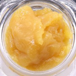 Thin Mint Girl Scout Cookies Strain Live Resin - Hybrid Thin Mint Girl Scout Cookies Strain Live Resin - Hybrid