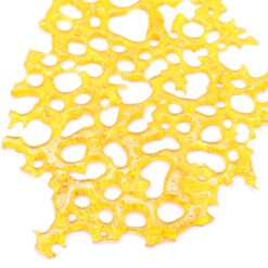 Bubba Kush Strain Shatter - Indica Dominant Hybrid Bubba Kush Strain Shatter - Indica Dominant Hybrid