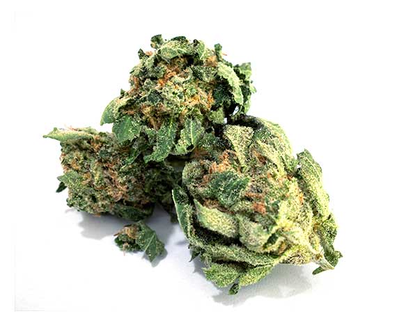 OG Kush Strain Flower - Sativa Dominant Hybrid