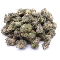 Blue Dream Strain Small Buds - Sativa Dominant Hybrid