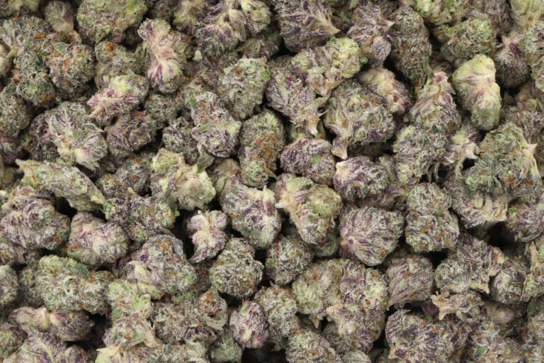 Blue Dream