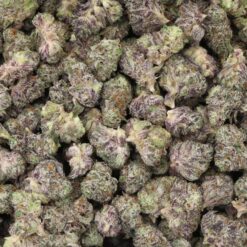 Blue Dream Strain Small Buds - Sativa Dominant Hybrid Blue Dream Strain Small Buds - Sativa Dominant Hybrid