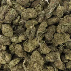 Blue Gelato Strain Flower - Indica Dominant Hybrid