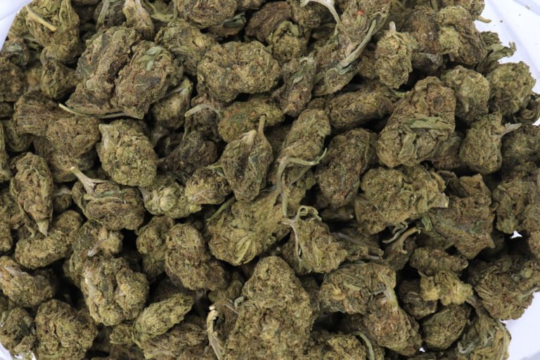 Blue Gelato