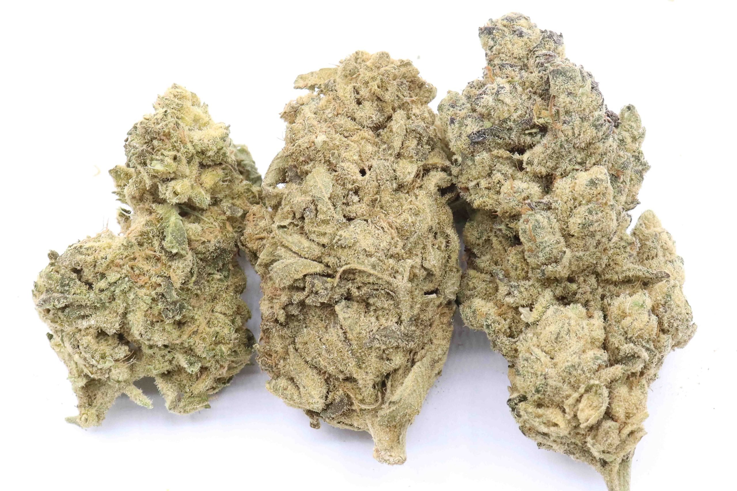 Blue Gelato, Blue Gelato Indica Hybrid | Buy Online Canada