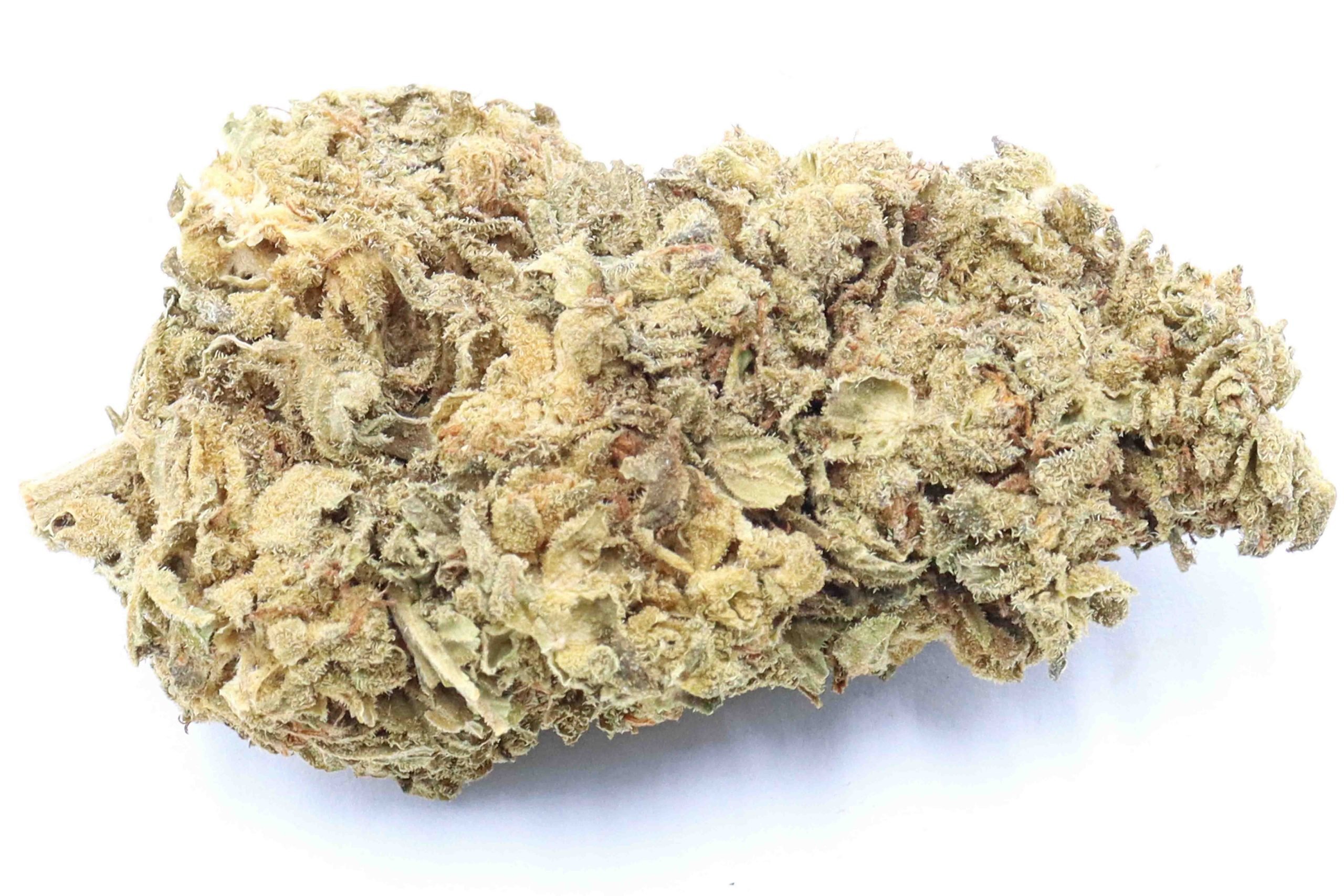 Blue Gelato Strain Flower - Indica Dominant Hybrid