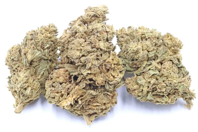 Blue Gelato