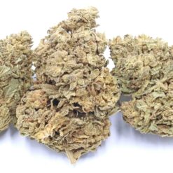 Blue Gelato Strain Flower - Indica Dominant Hybrid Blue Gelato Strain Flower - Indica Dominant Hybrid