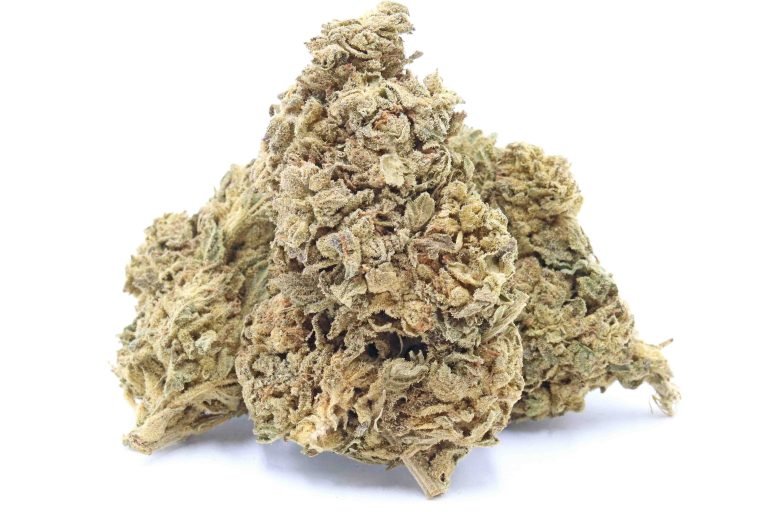 Blue Gelato