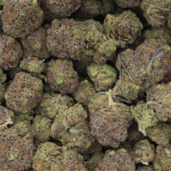 OG Kush Strain Flower - Sativa Dominant Hybrid