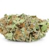 Trainwreck Strain Flower - Sativa Trainwreck Strain Flower - Sativa