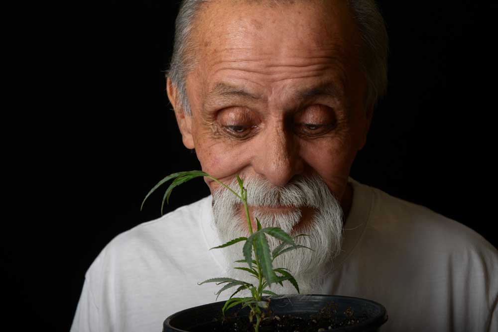 Cannabis Changes Lives