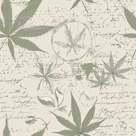 History Plant Cultivation