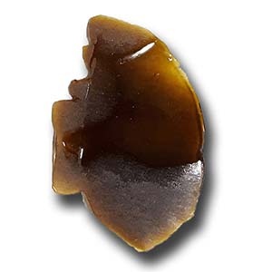 Purple Kush Shatter - Indica