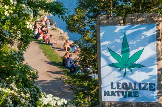 CANNABIS MEDICINE: One-Of-A-Kind Plant, Hundreds of Healing Powers